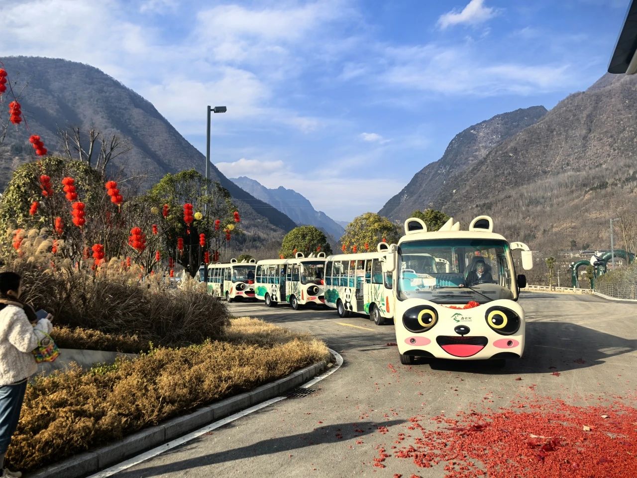 2025年景区交通该往哪儿发力？3499拉斯维加斯观光车助力打造景区交通运营新“范式”